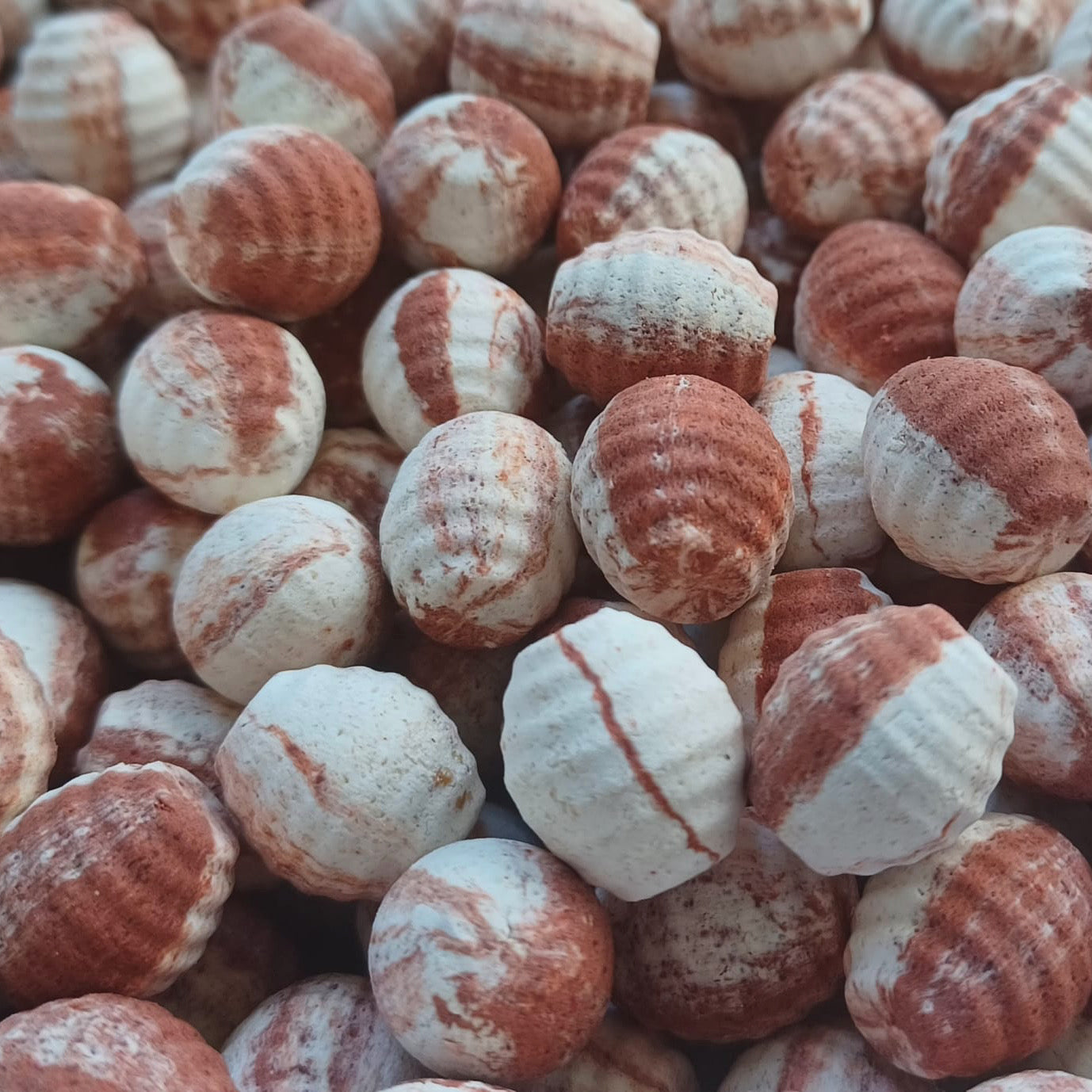 Frankfurter & Lamprey