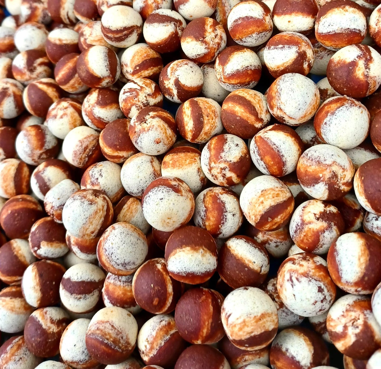 Frankfurter & Lamprey