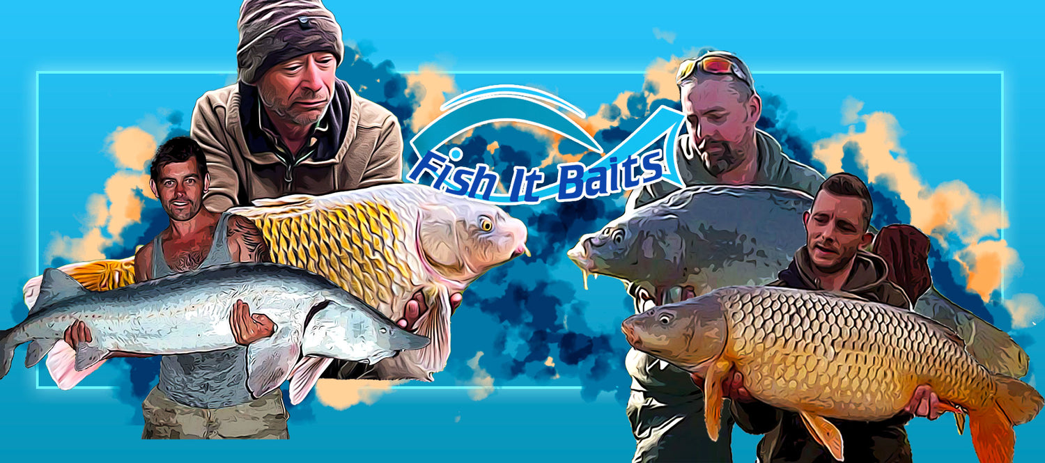 Fish it baits - rolled to perfection – Fish It Baits